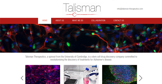 Website Design for Talisman Therapeutics