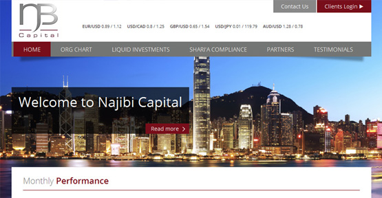 Web Design for Najibi Capital